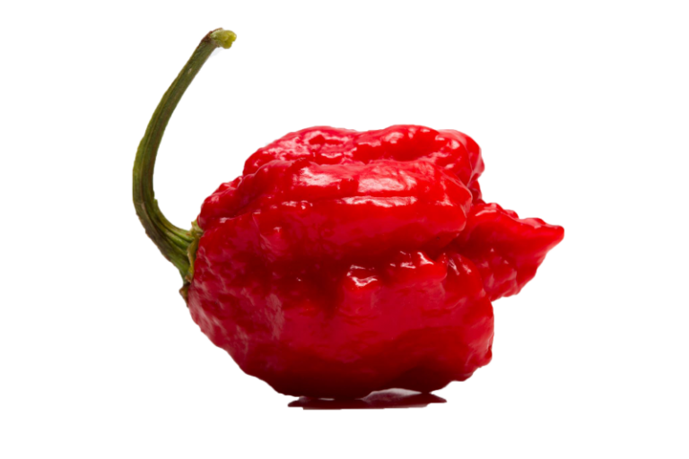 15 Semillas Carolina Reaper Aji Mas Picante Del Mundo | Cuotas Sin Interés - Foto 3